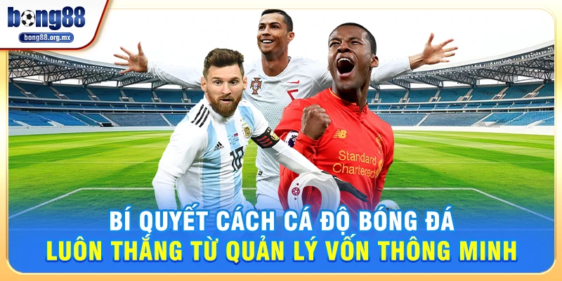 Bí Quyết Cách Cá Độ Bóng Đá Luôn Thắng Từ Quản Lý Vốn Thông Minh