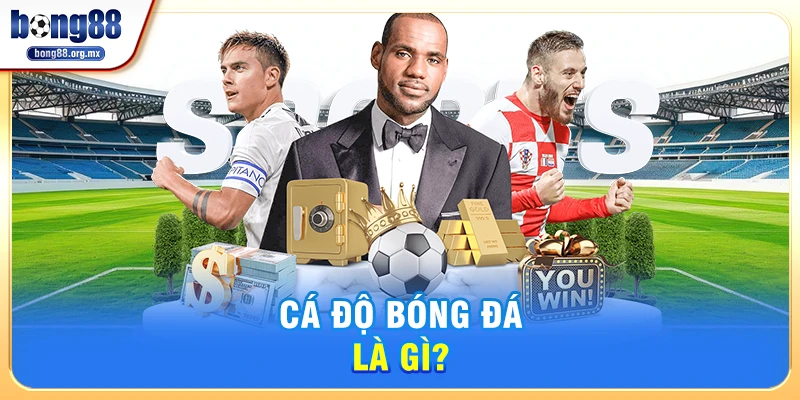 Cá Độ Bóng Đá Là Gì? 
