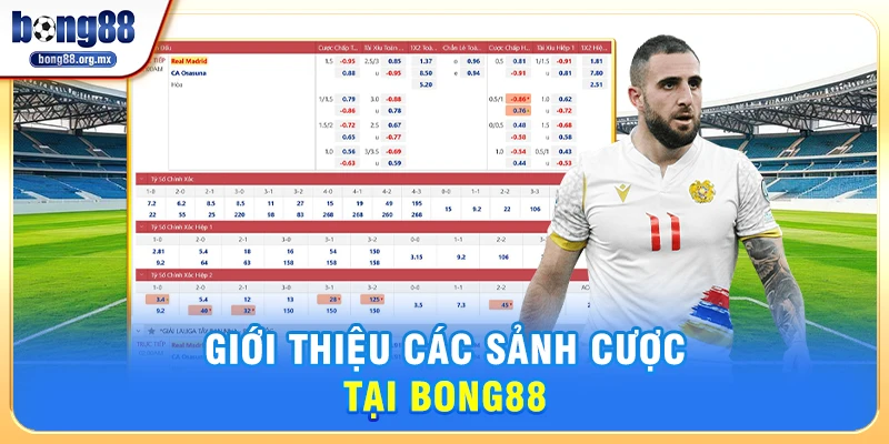Giới thiệu các sảnh cược tại Bong88