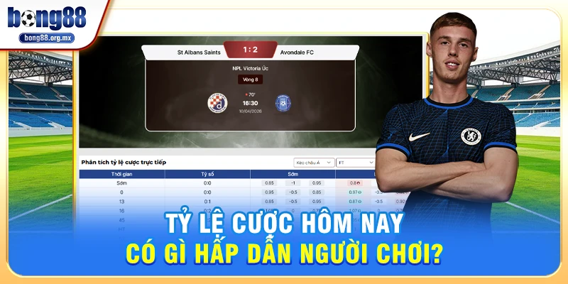 Tỷ Lệ Cược Hôm Nay Có Gì Hấp Dẫn Người Chơi? 